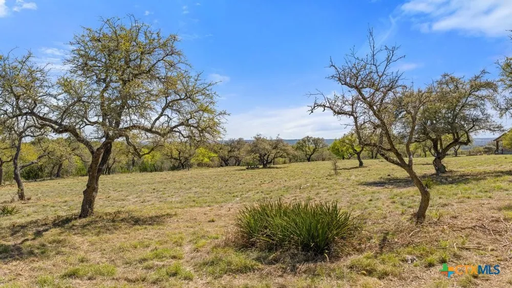 19 Stone Ridge Mountain Drive Round Mountain, TX 78663