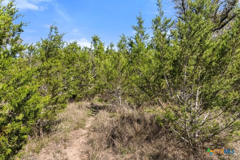 19 Stone Ridge Mountain Drive Round Mountain, TX 78663