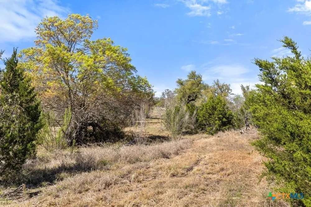 19 Stone Ridge Mountain Drive Round Mountain, TX 78663