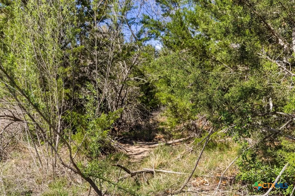 19 Stone Ridge Mountain Drive Round Mountain, TX 78663