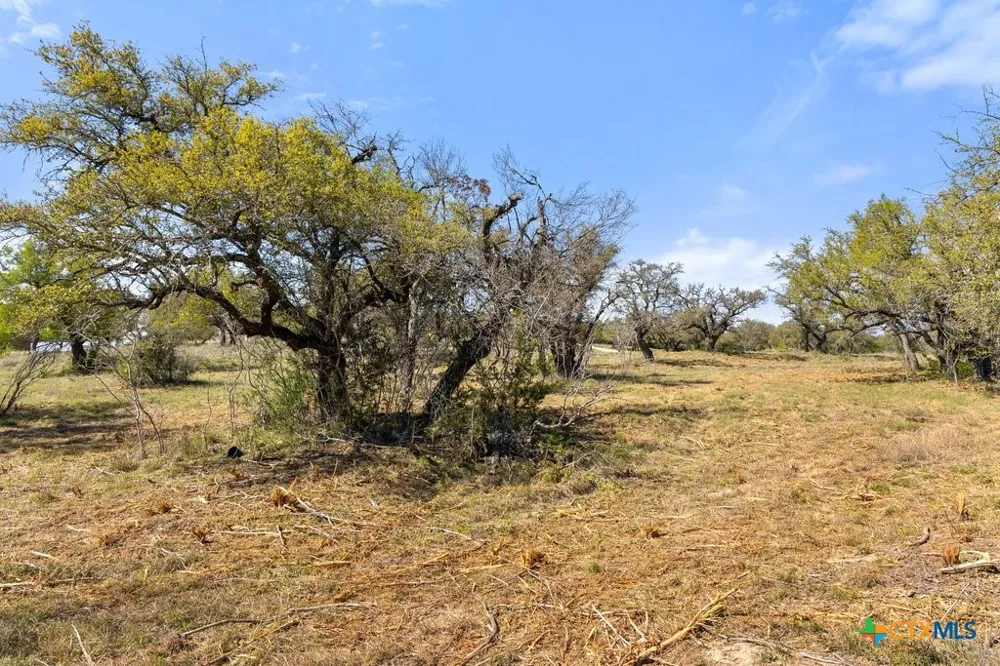 19 Stone Ridge Mountain Drive Round Mountain, TX 78663