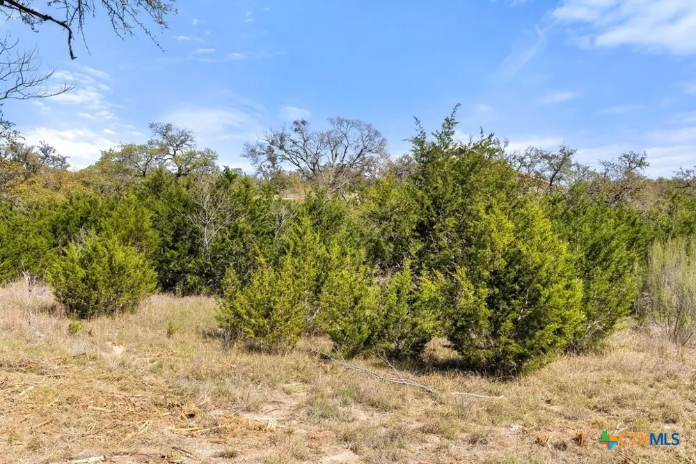 19 Stone Ridge Mountain Drive Round Mountain, TX 78663
