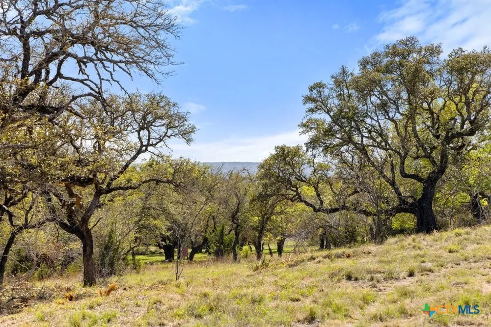 19 Stone Ridge Mountain Drive Round Mountain, TX 78663