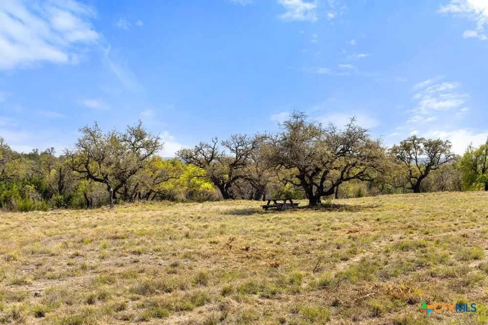 19 Stone Ridge Mountain Drive Round Mountain, TX 78663