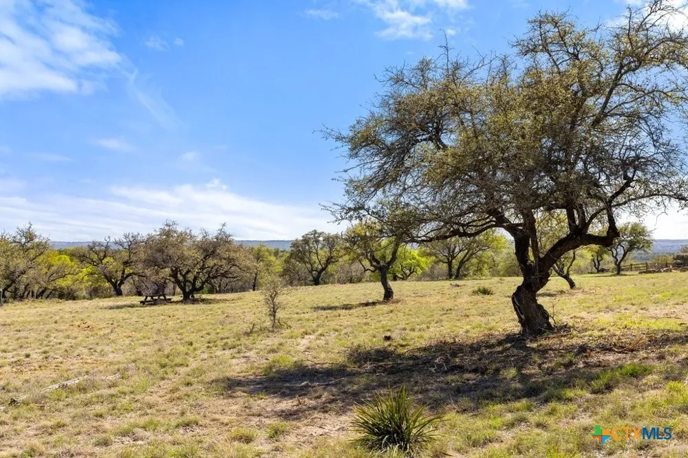 19 Stone Ridge Mountain Drive Round Mountain, TX 78663