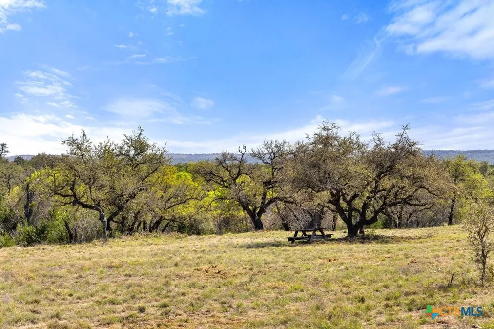 19 Stone Ridge Mountain Drive Round Mountain, TX 78663