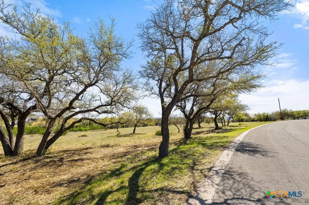 19 Stone Ridge Mountain Drive Round Mountain, TX 78663