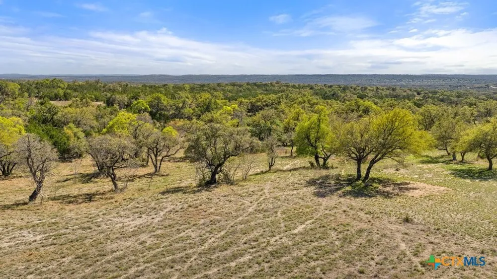 19 Stone Ridge Mountain Drive Round Mountain, TX 78663