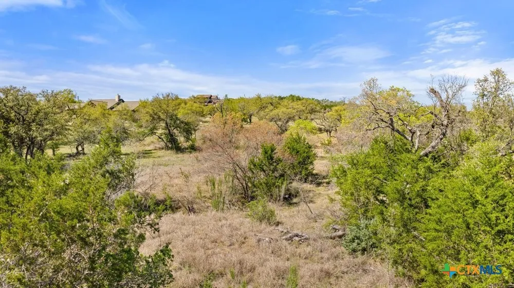 19 Stone Ridge Mountain Drive Round Mountain, TX 78663