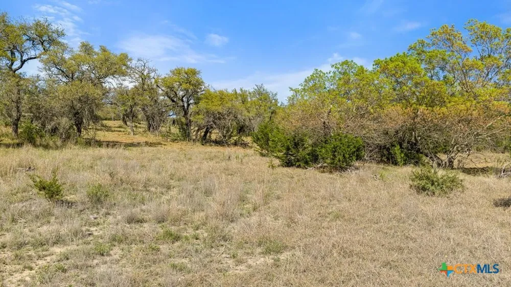 19 Stone Ridge Mountain Drive Round Mountain, TX 78663
