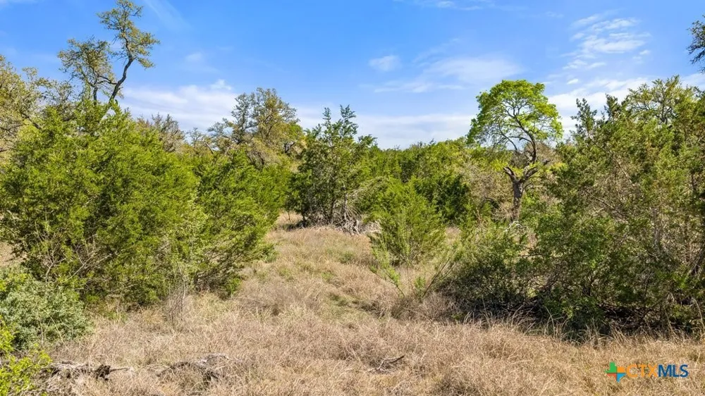 19 Stone Ridge Mountain Drive Round Mountain, TX 78663