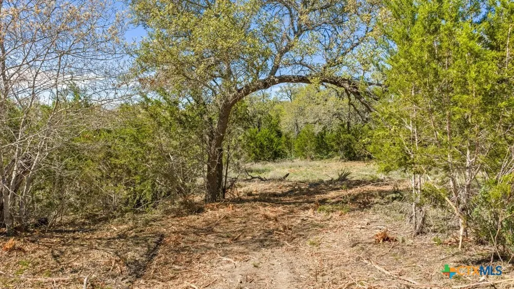 19 Stone Ridge Mountain Drive Round Mountain, TX 78663