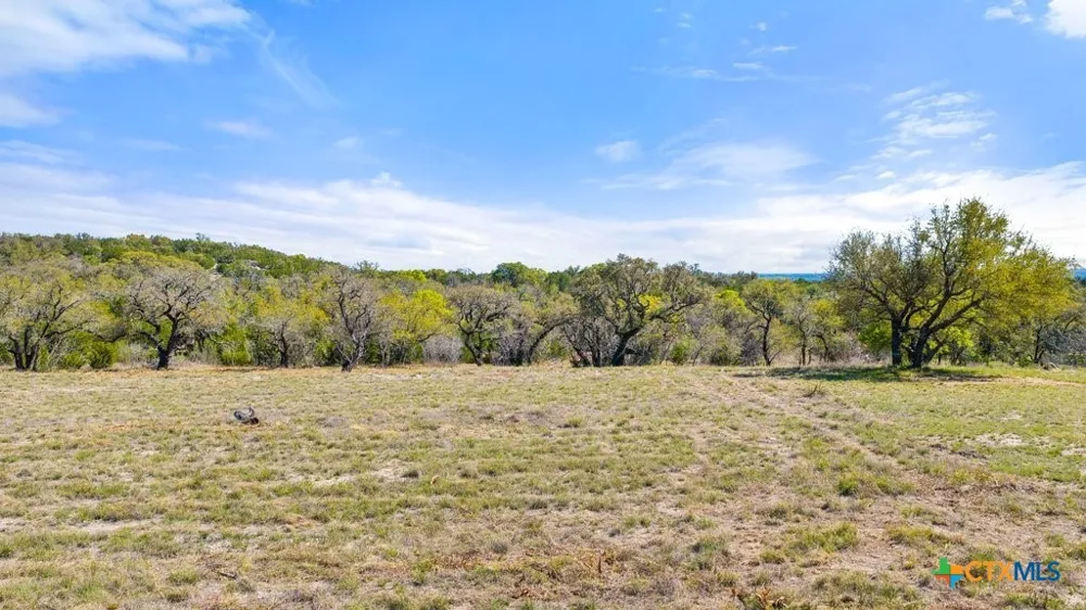 19 Stone Ridge Mountain Drive Round Mountain, TX 78663