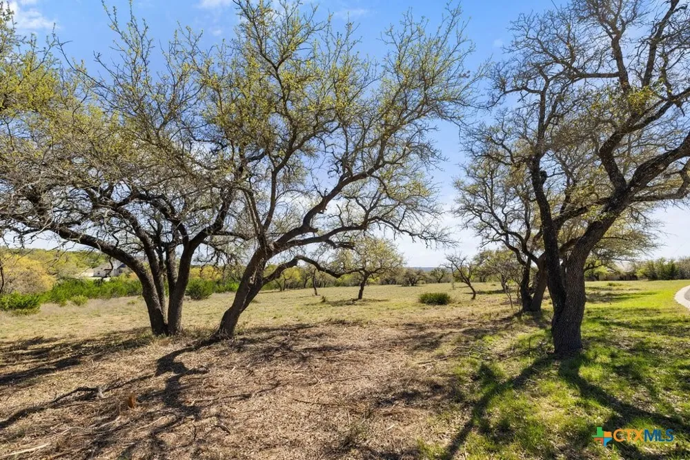 19 Stone Ridge Mountain Drive Round Mountain, TX 78663