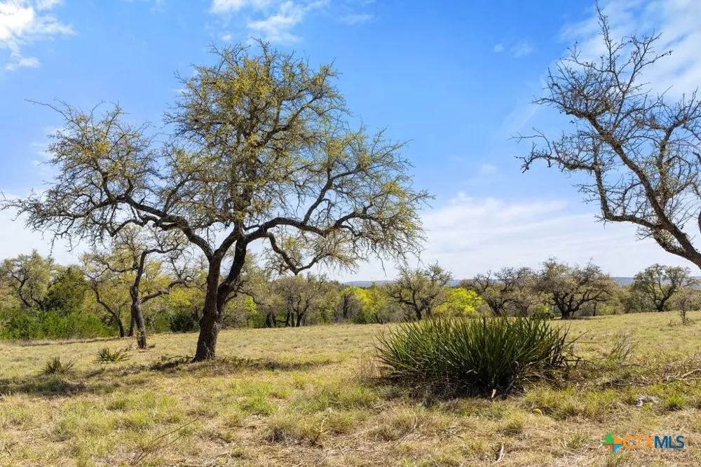 19 Stone Ridge Mountain Drive Round Mountain, TX 78663