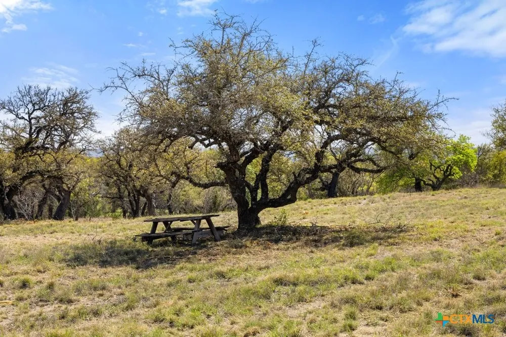 19 Stone Ridge Mountain Drive Round Mountain, TX 78663
