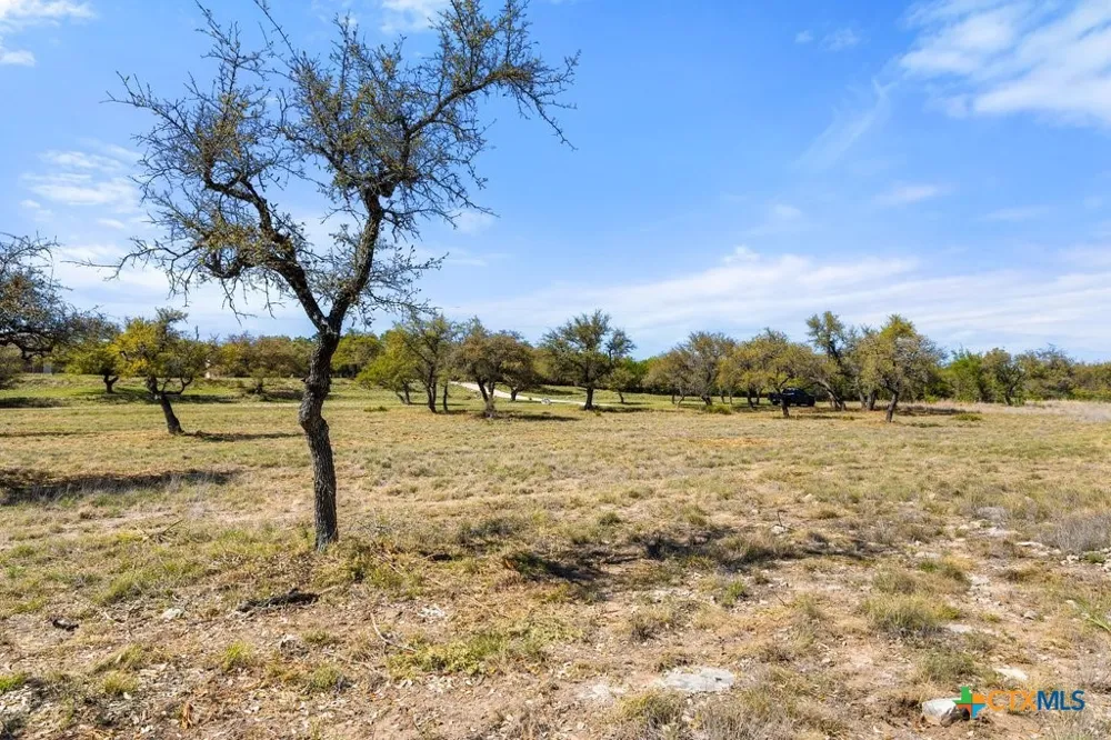 19 Stone Ridge Mountain Drive Round Mountain, TX 78663