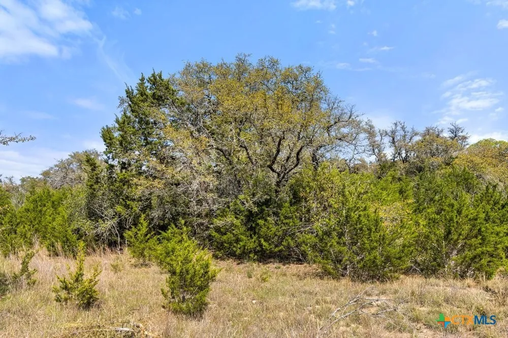 19 Stone Ridge Mountain Drive Round Mountain, TX 78663