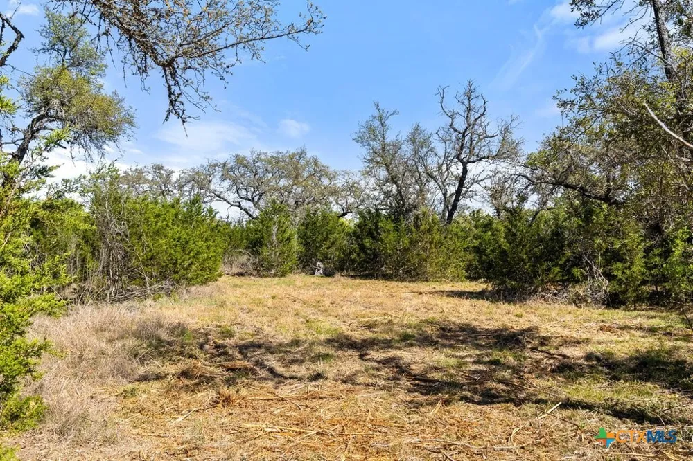 19 Stone Ridge Mountain Drive Round Mountain, TX 78663