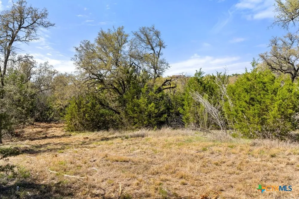 19 Stone Ridge Mountain Drive Round Mountain, TX 78663