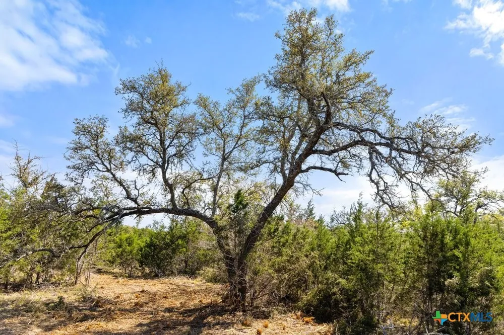 19 Stone Ridge Mountain Drive Round Mountain, TX 78663