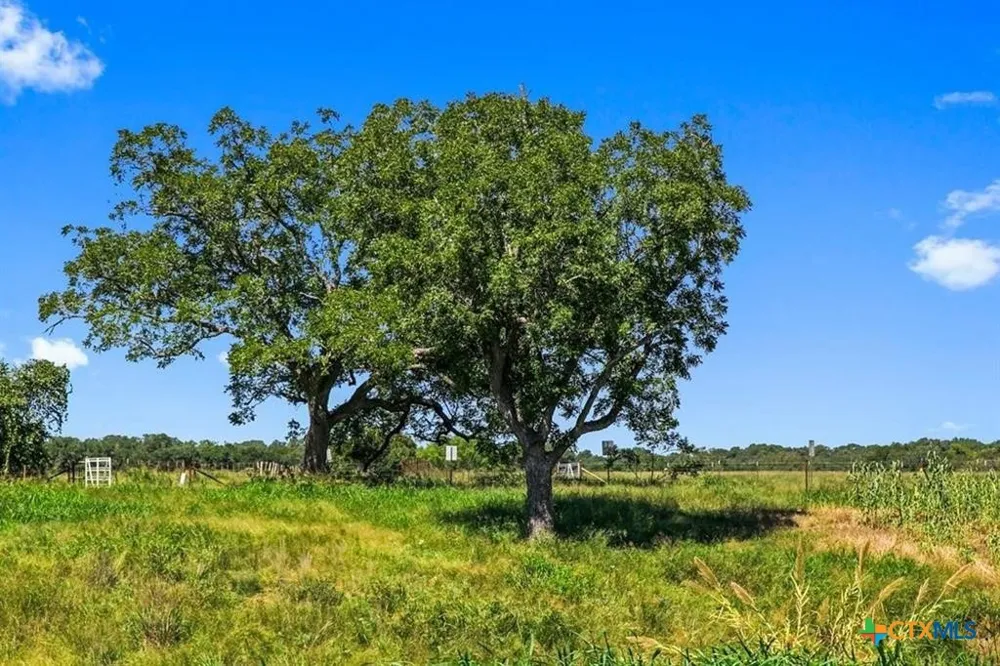 440 Chimney Valley Road Blanco, TX 78606