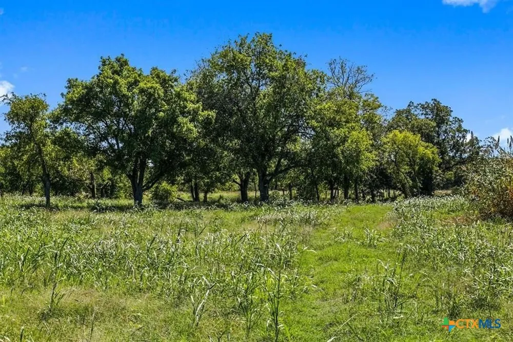 440 Chimney Valley Road Blanco, TX 78606