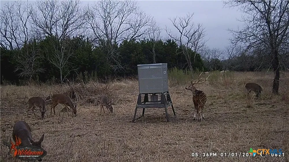 440 Chimney Valley Road Blanco, TX 78606