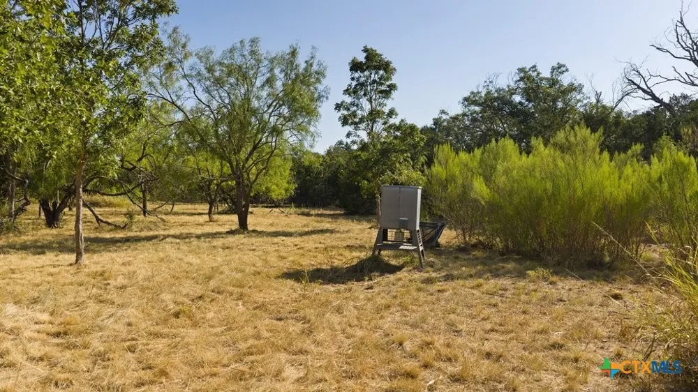 440 Chimney Valley Road Blanco, TX 78606