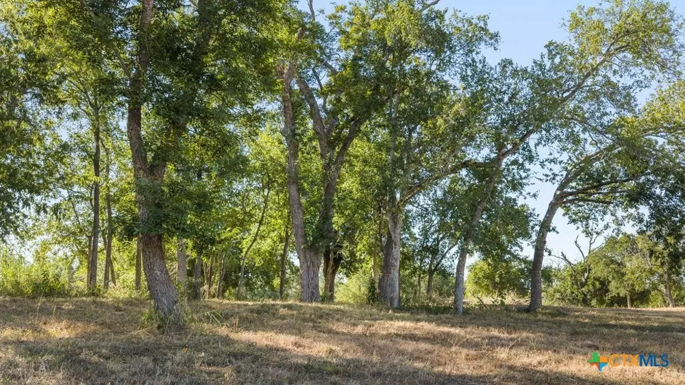 440 Chimney Valley Road Blanco, TX 78606