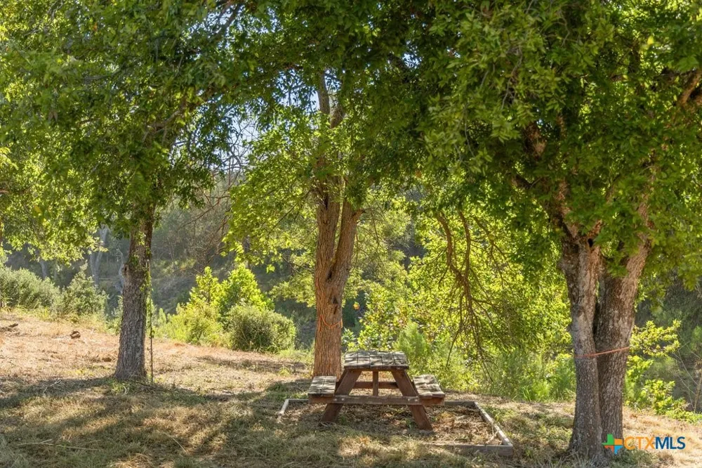 440 Chimney Valley Road Blanco, TX 78606