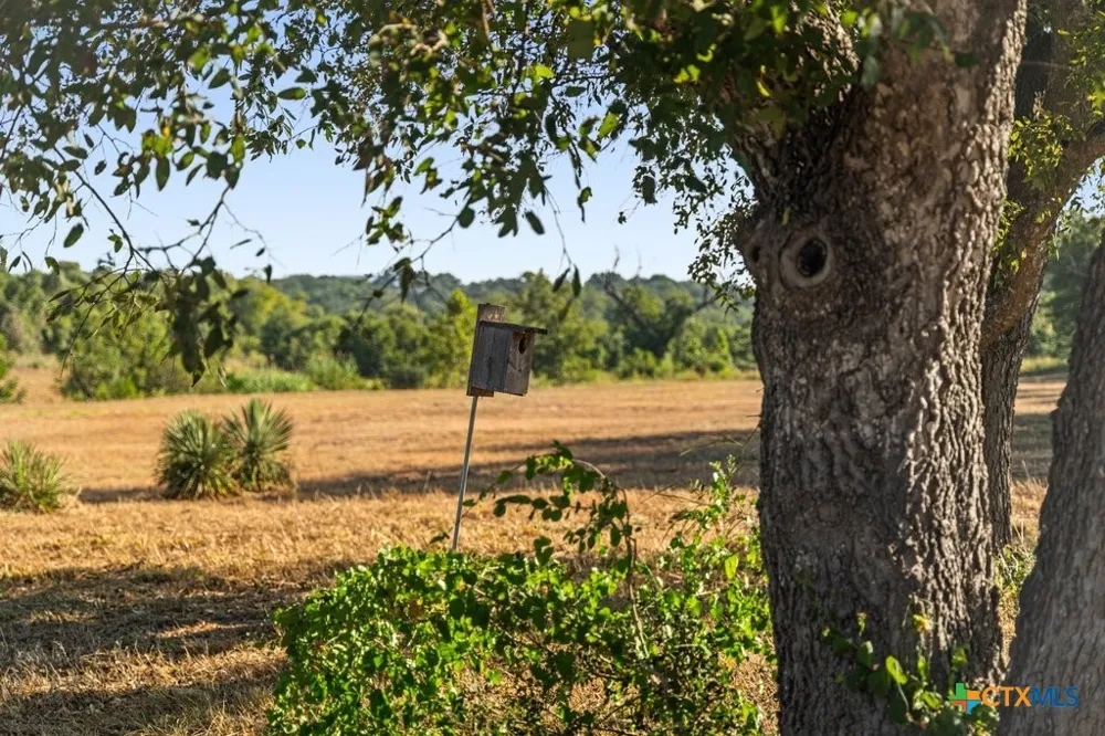 440 Chimney Valley Road Blanco, TX 78606