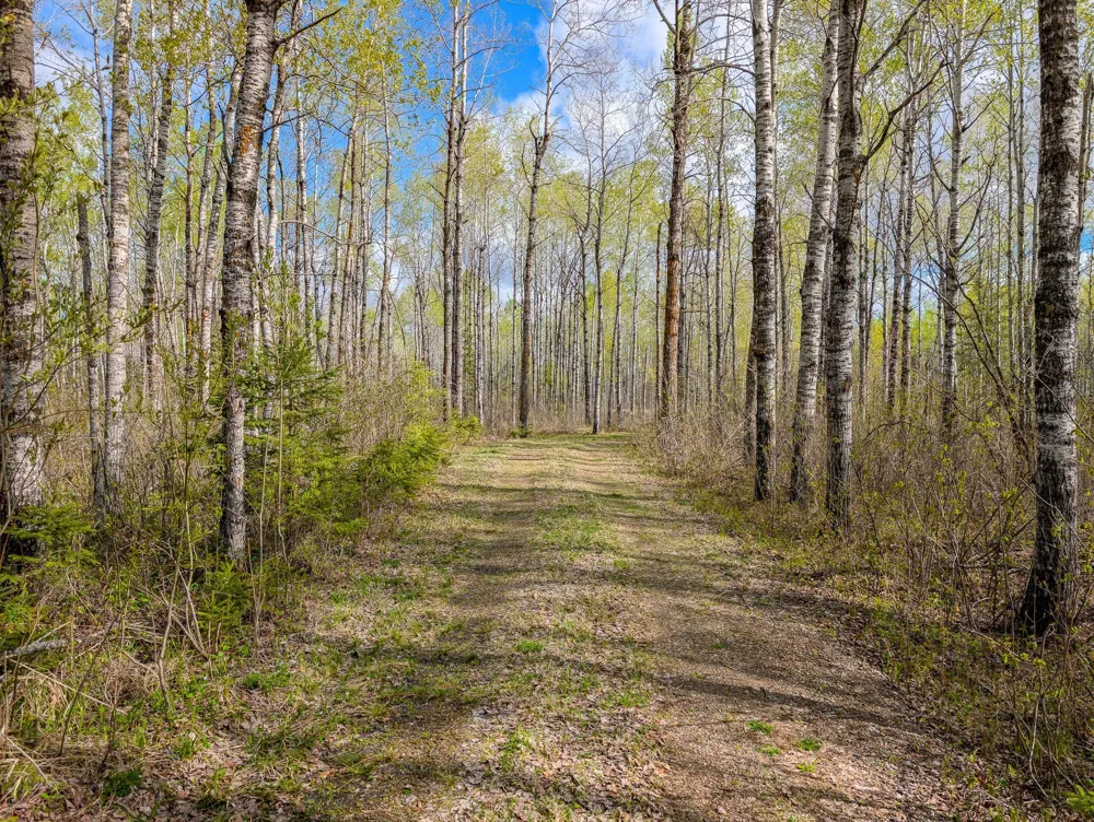 992 Nemadji River Road Holyoke, MN 55749