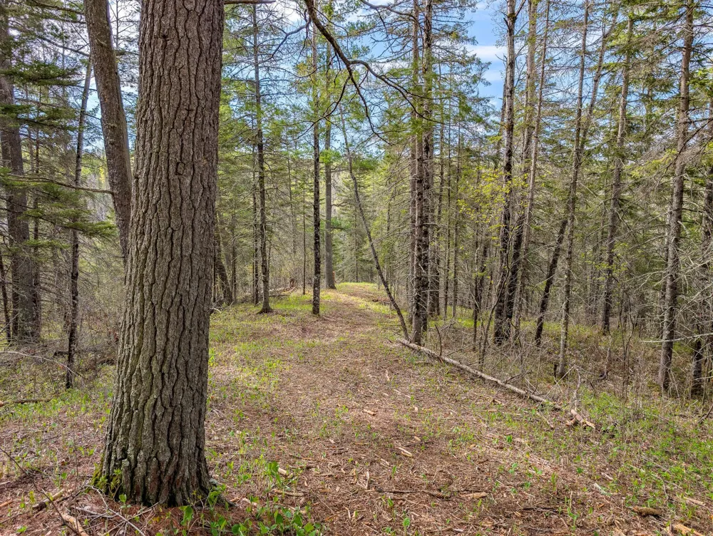 992 Nemadji River Road Holyoke, MN 55749