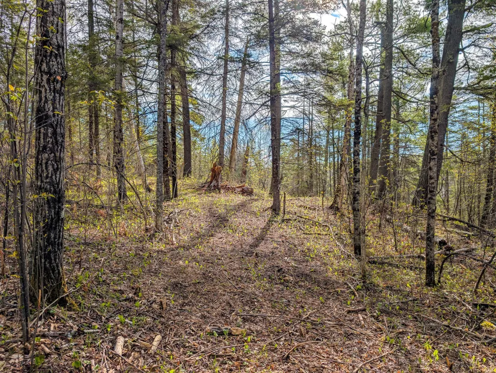992 Nemadji River Road Holyoke, MN 55749