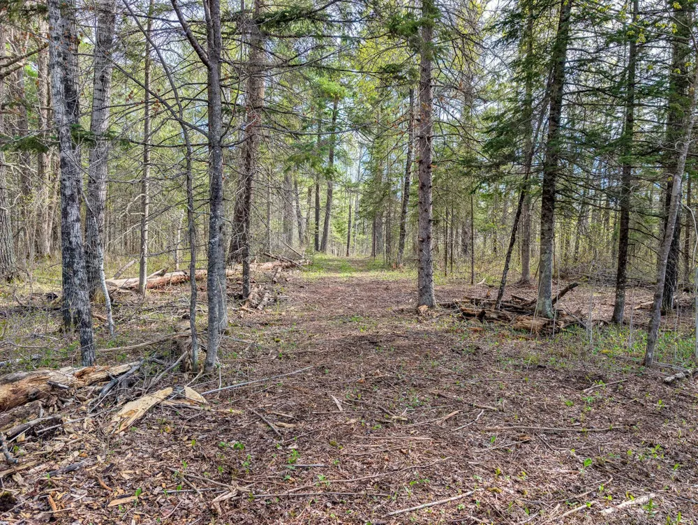 992 Nemadji River Road Holyoke, MN 55749