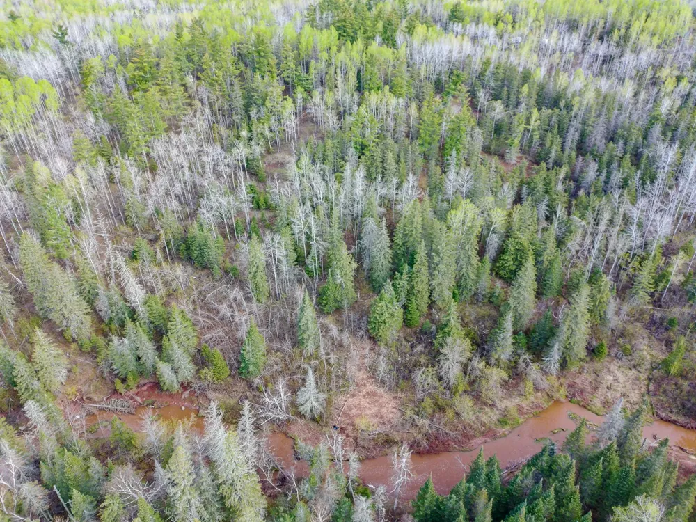 992 Nemadji River Road Holyoke, MN 55749