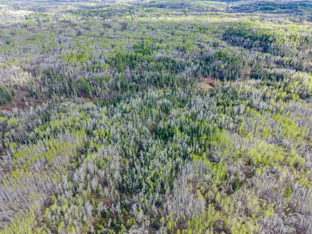 992 Nemadji River Road Holyoke, MN 55749