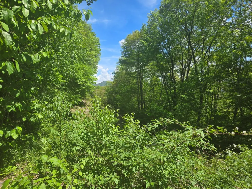 Greenspire Road Sylva, NC 28779