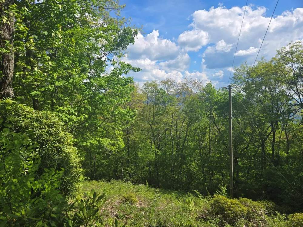 Greenspire Road Sylva, NC 28779