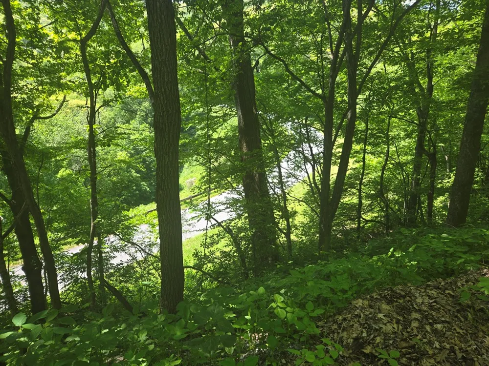 Greenspire Road Sylva, NC 28779