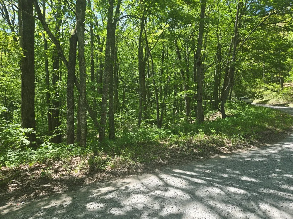 Greenspire Road Sylva, NC 28779