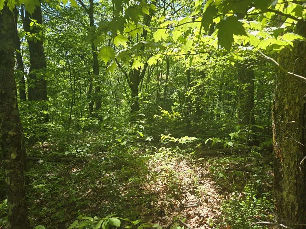 Greenspire Road Sylva, NC 28779