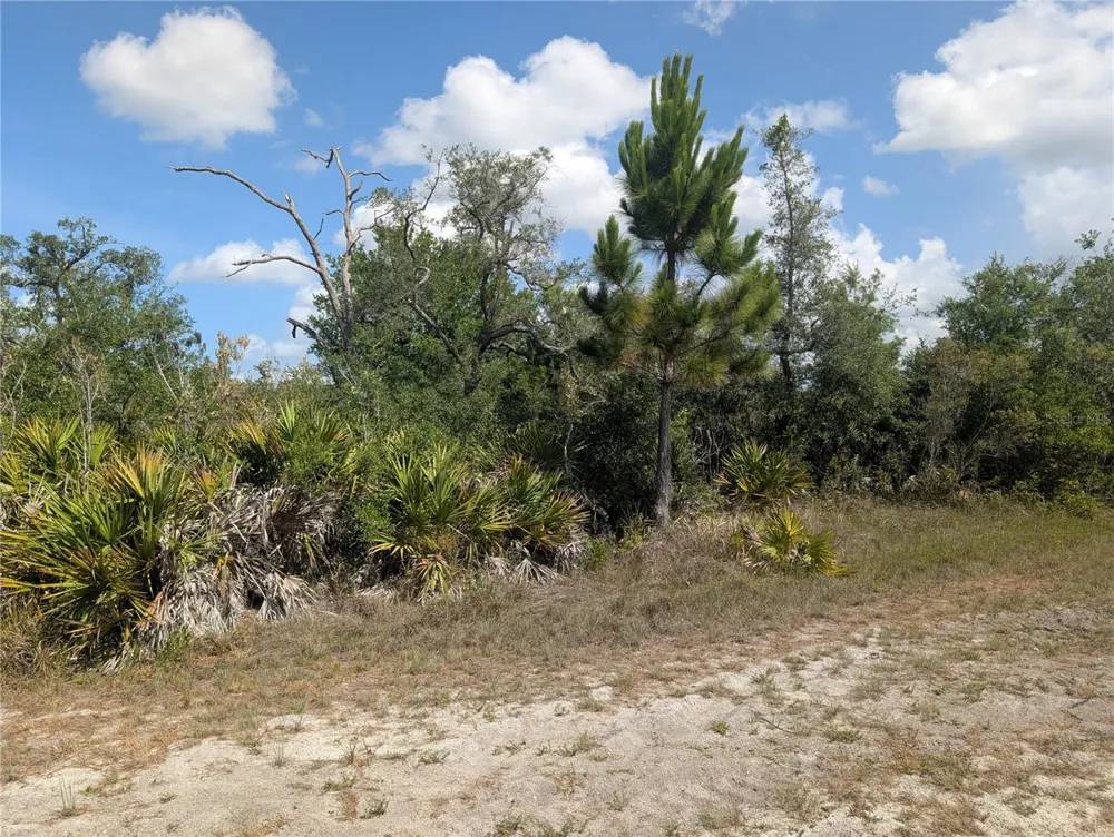 LAKELAND DRIVE Indian Lake Estates, FL 33855