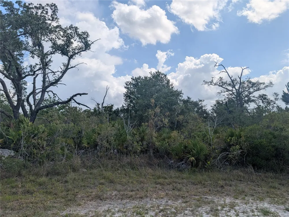 LAKELAND DRIVE Indian Lake Estates, FL 33855