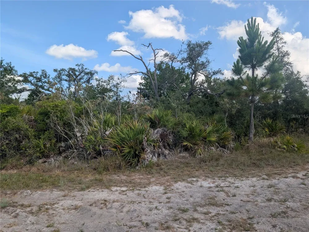 LAKELAND DRIVE Indian Lake Estates, FL 33855