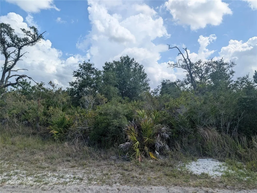 LAKELAND DRIVE Indian Lake Estates, FL 33855