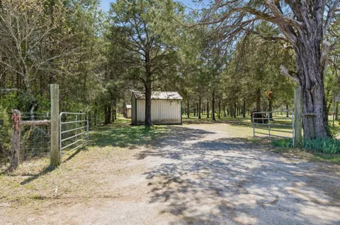 160 Osteen Ln