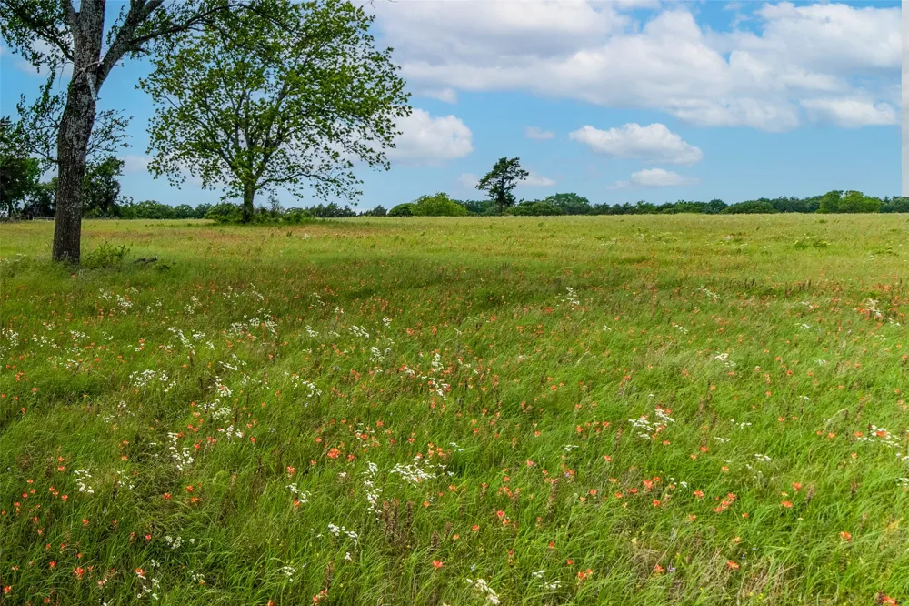 20 US Hwy 377 Whitesboro, TX 76273
