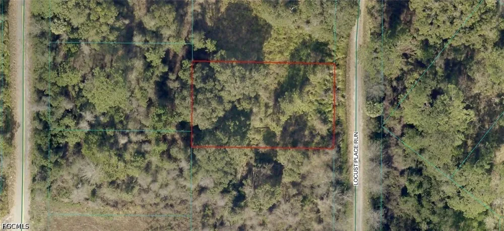 Locust Place Run ocala, FL 34472